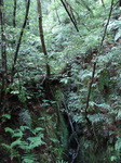 DSC01118.JPG
